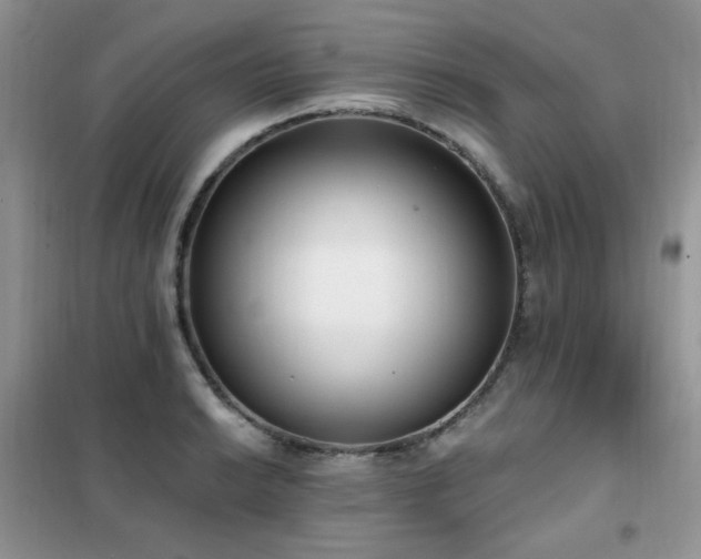 X0000102351038200808011159