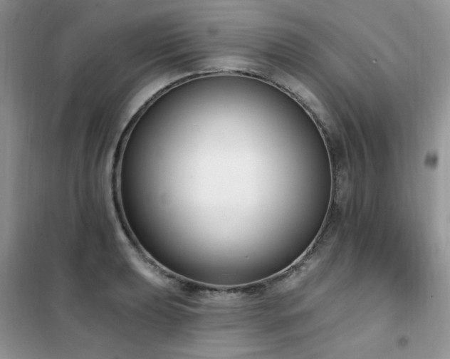 X0000102351039200808011159