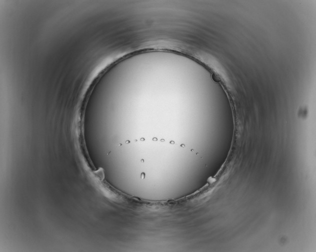 X0000102351040200808011159