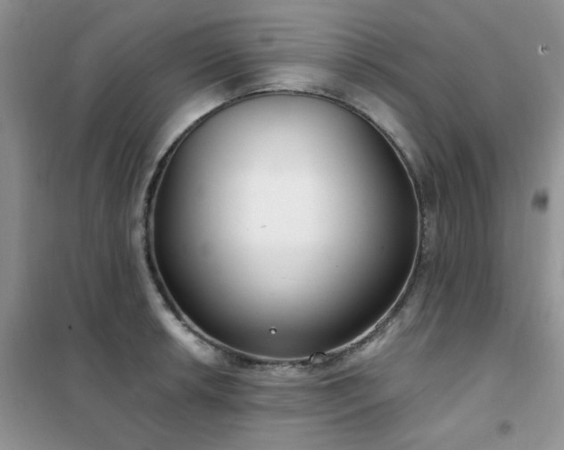 X0000102351042200808011159