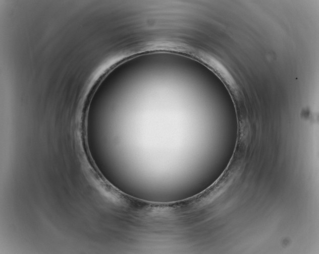 X0000102351043200808011159