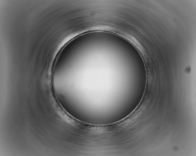 X0000102351044200808011159