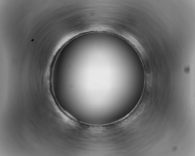 X0000102351046200808011159