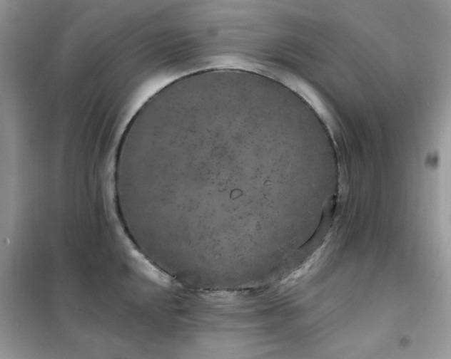 X0000102351048200808011159