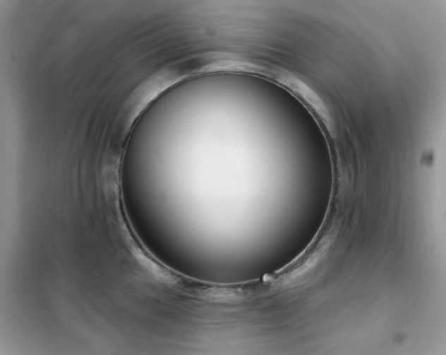 X0000102351049200808011159