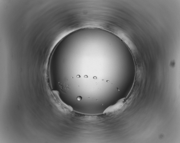 X0000102351052200808011159