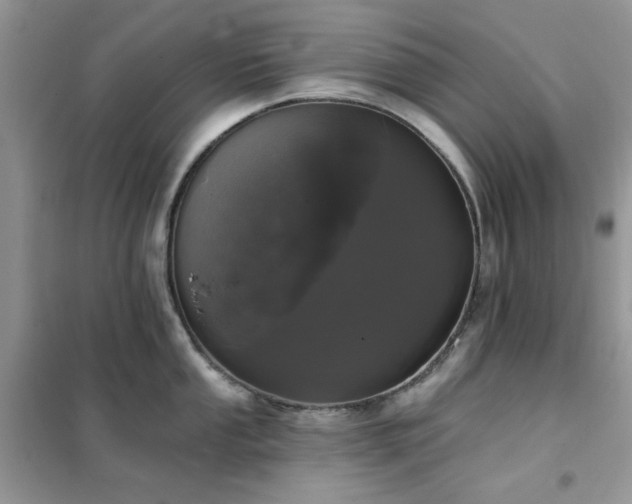 X0000102351053200808011159