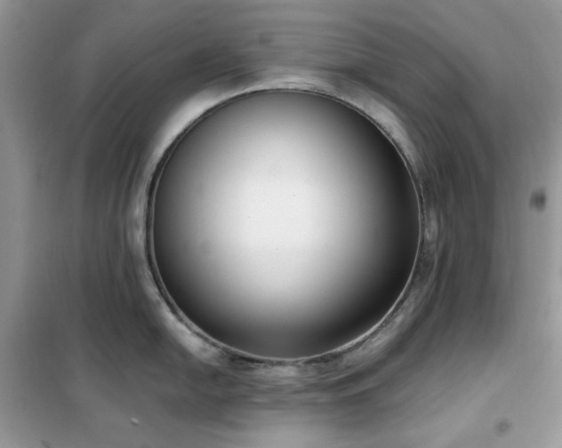 X0000102351054200808011159