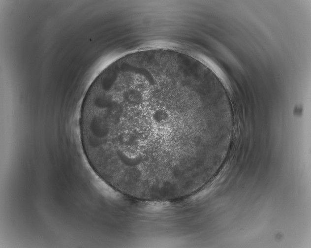 X0000102351055200808011159