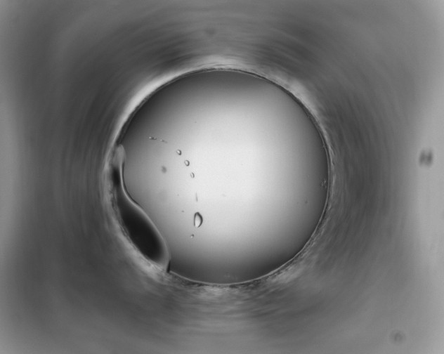 X0000102351056200808011159