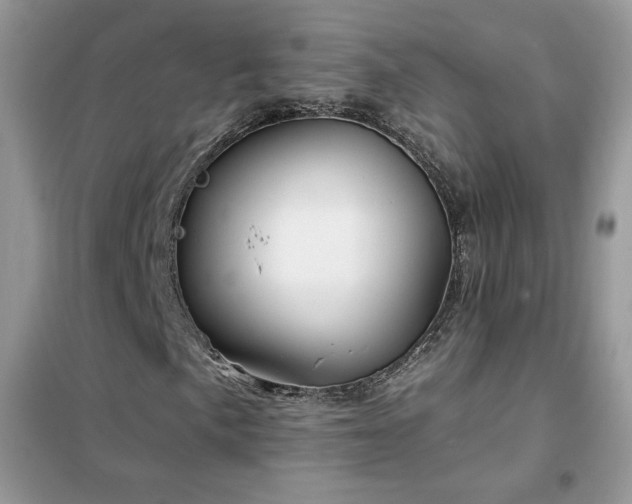 X0000102351057200808011158