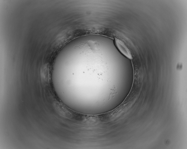 X0000102351058200808011158