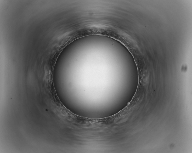 X0000102351061200808011158