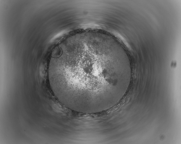 X0000102351063200808011158