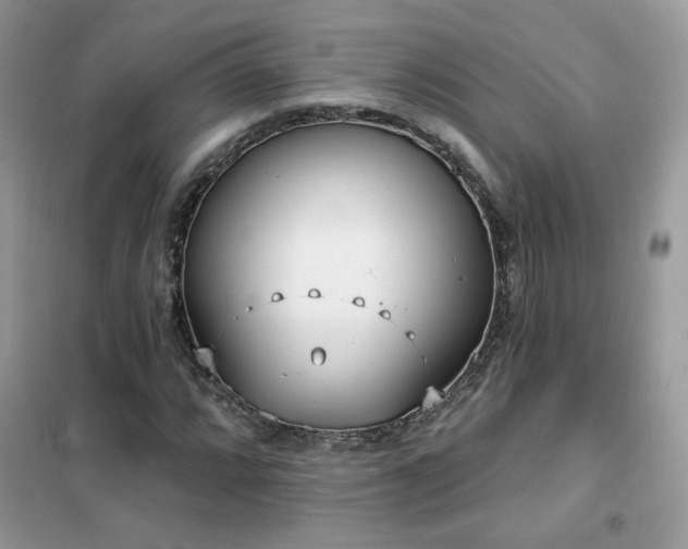 X0000102351064200808011158