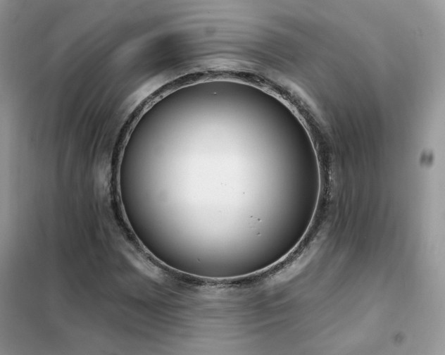 X0000102351065200808011158