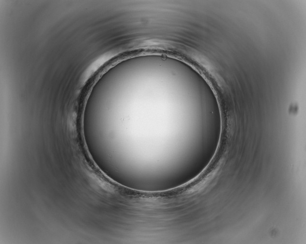 X0000102351066200808011158