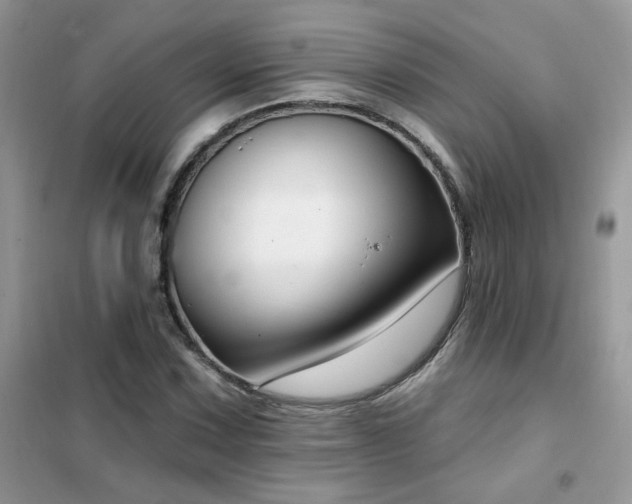 X0000102351067200808011158