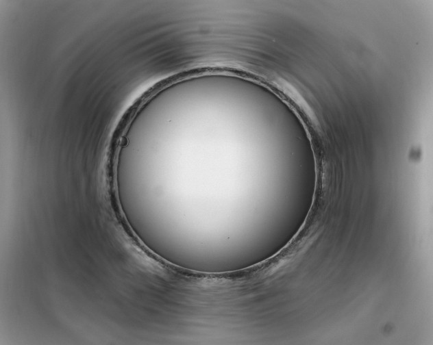 X0000102351068200808011158