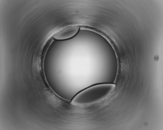 X0000102351069200808011158