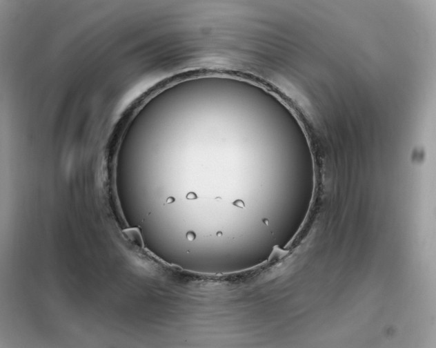 X0000102351070200808011158