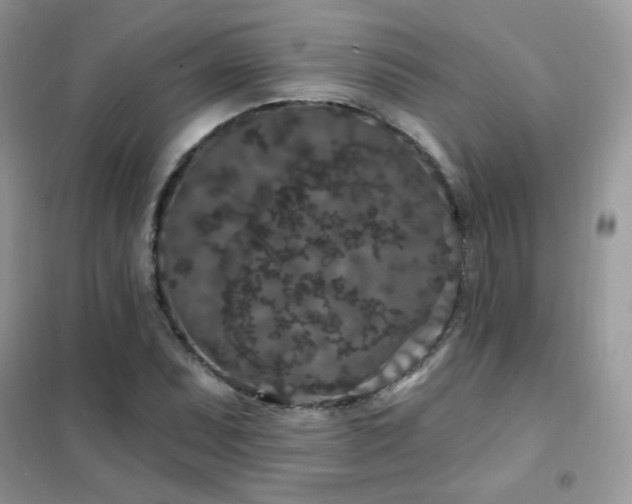 X0000102351071200808011158