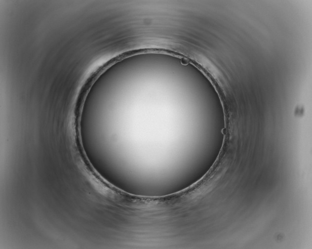 X0000102351072200808011158