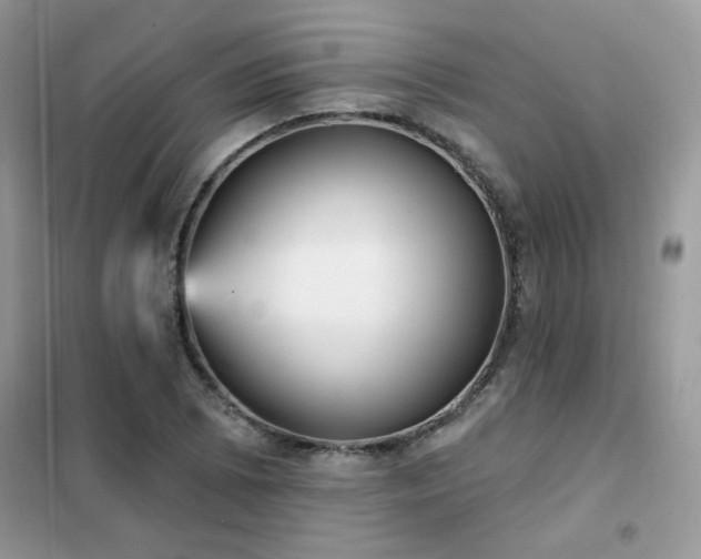 X0000102351073200808011158