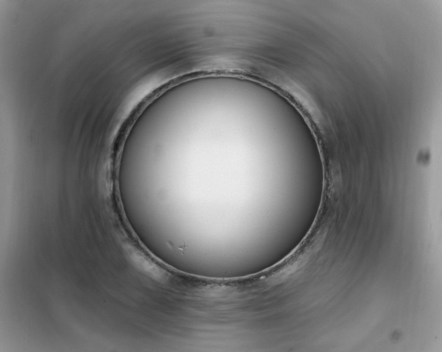 X0000102351075200808011158