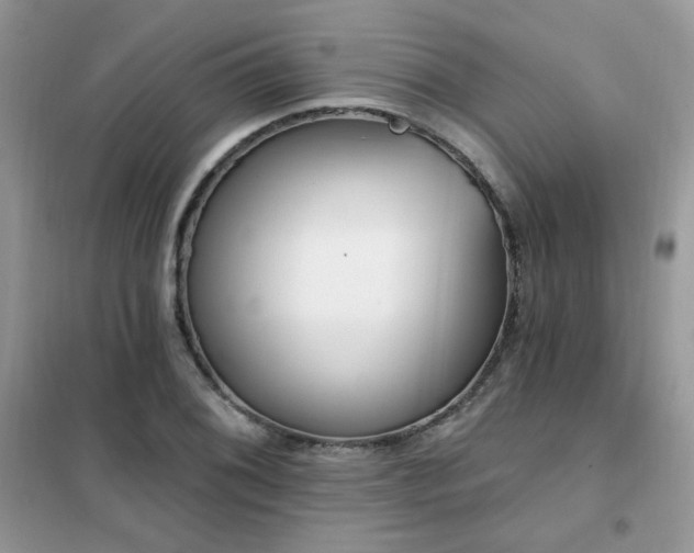 X0000102351076200808011158