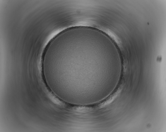 X0000102351077200808011158