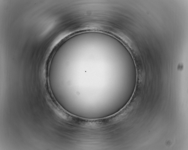 X0000102351078200808011158