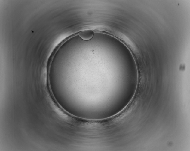 X0000102351079200808011158