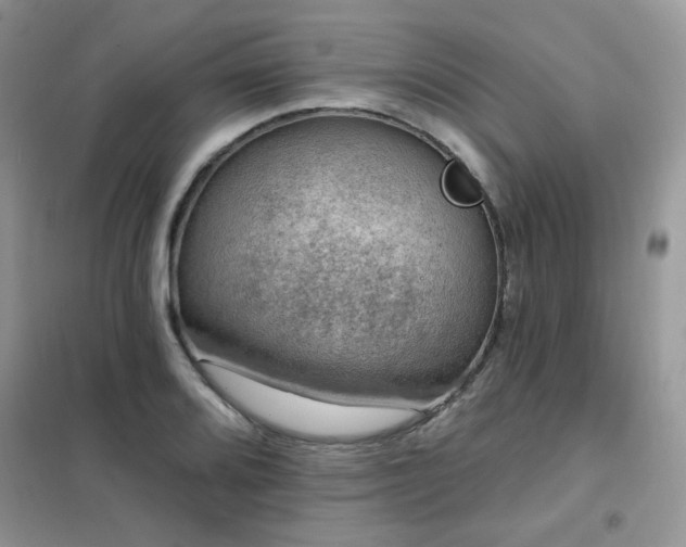 X0000102351080200808011158