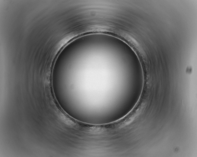 X0000102351081200808011158