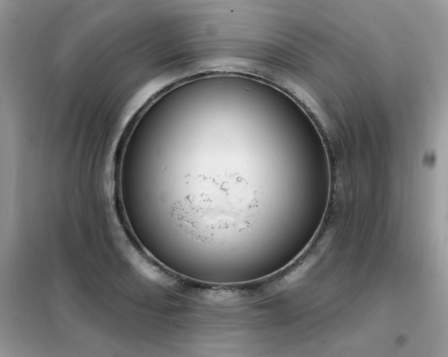 X0000102351082200808011158