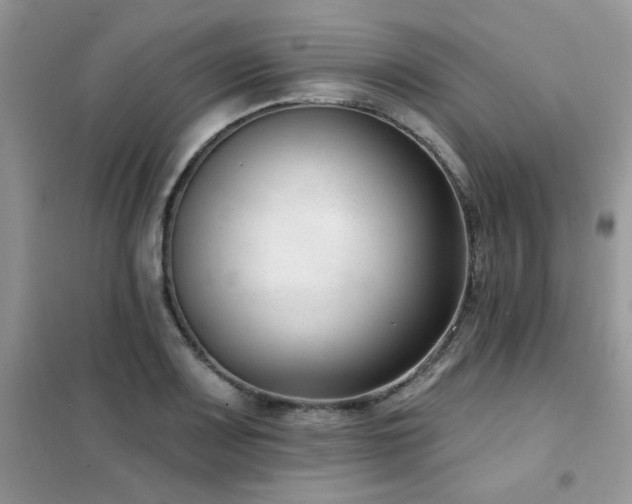 X0000102351083200808011158