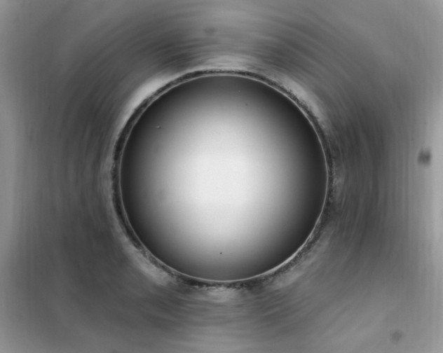 X0000102351085200808011158