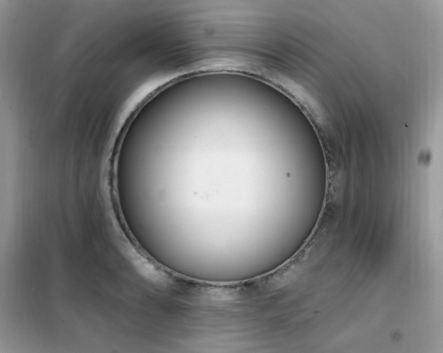 X0000102351086200808011158