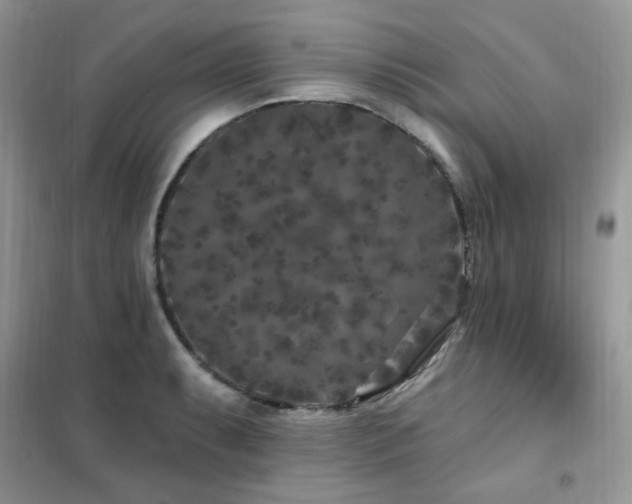 X0000102351087200808011158