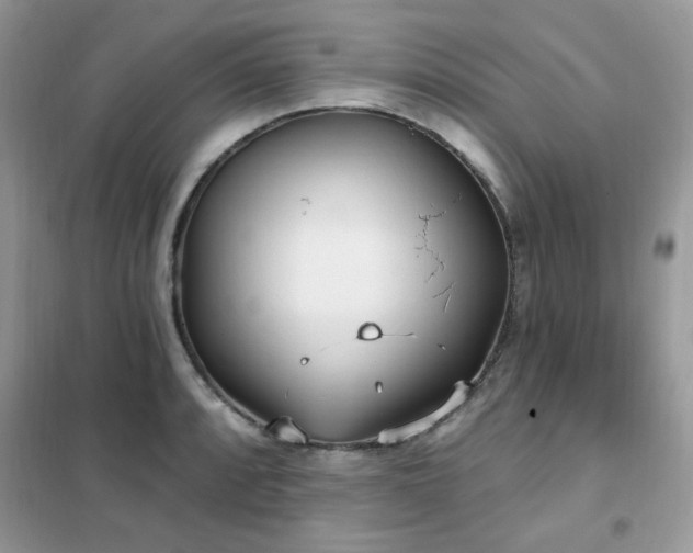 X0000102351088200808011158