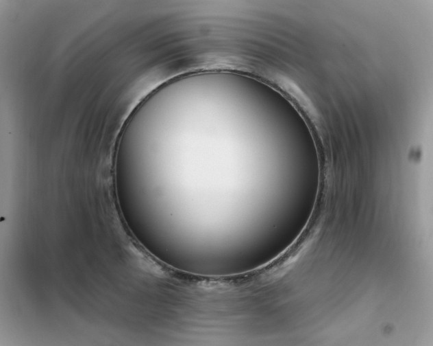 X0000102351089200808011158