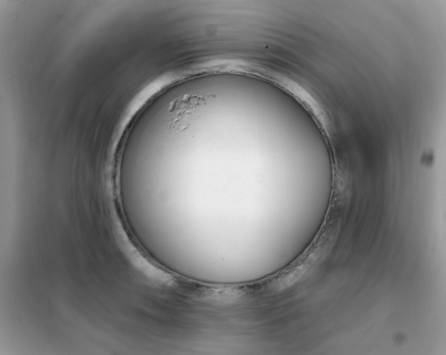 X0000102351090200808011158