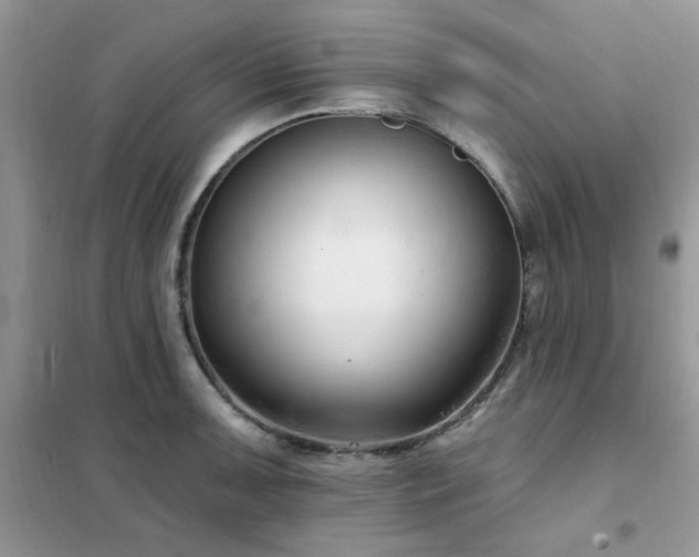 X0000102351091200808011158