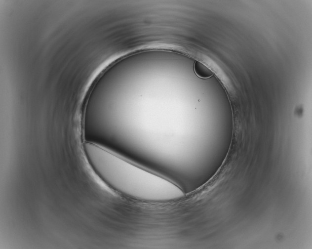 X0000102351092200808011158