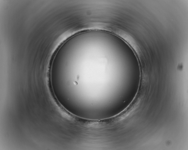 X0000102351093200808011158