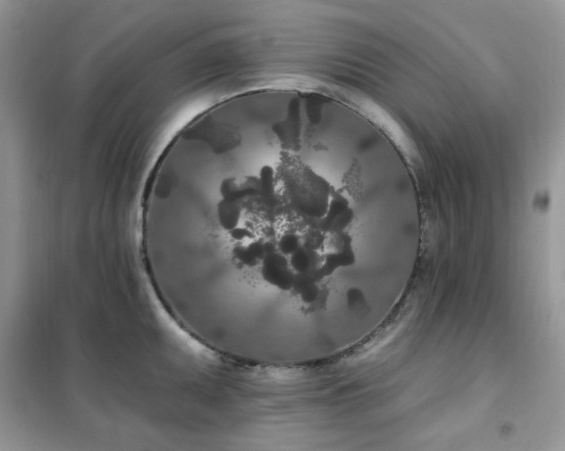 X0000102351095200808011158