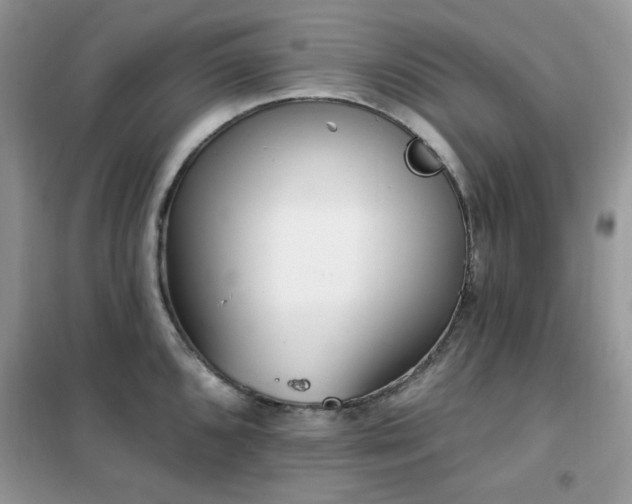 X0000102351096200808011158