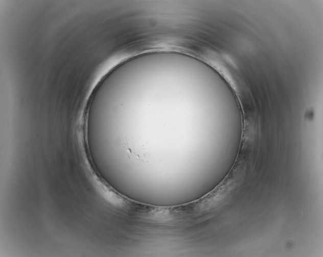 X0000102351098200808011158