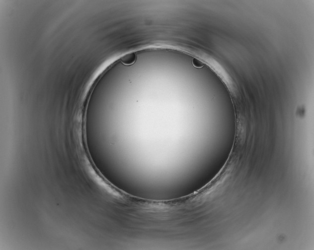 X0000102351100200808011158